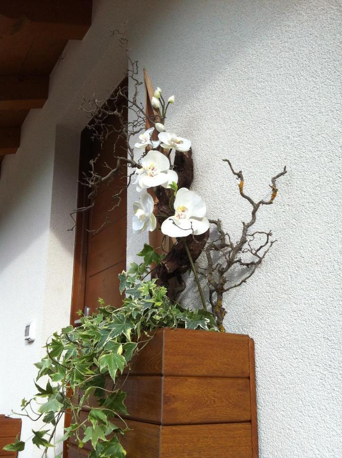 B&B Aria D'Argento & Relax Home Trydent Zewnętrze zdjęcie