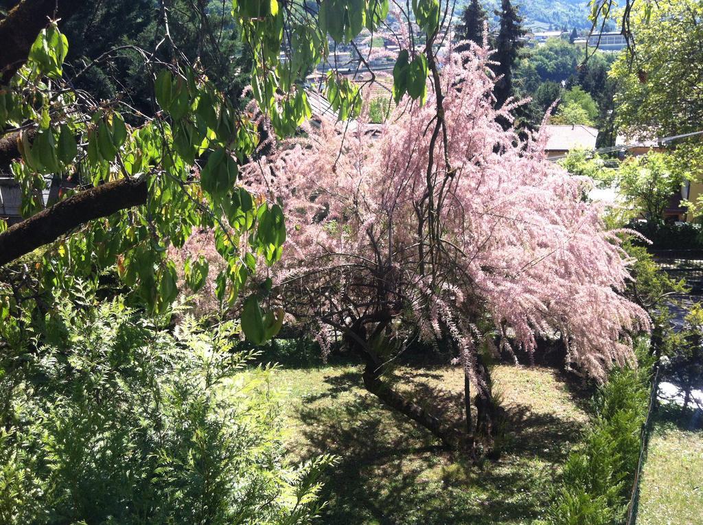 B&B Aria D'Argento & Relax Home Trydent Zewnętrze zdjęcie
